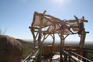 AZ Sonora desert museum 3