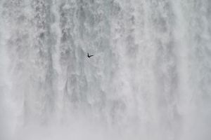 seagull falls 2
